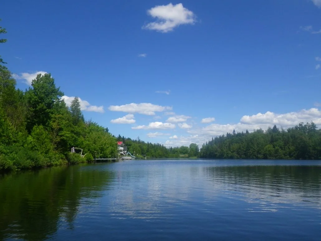 Caractérisation des bandes riveraines du lac O’Neil | 2017