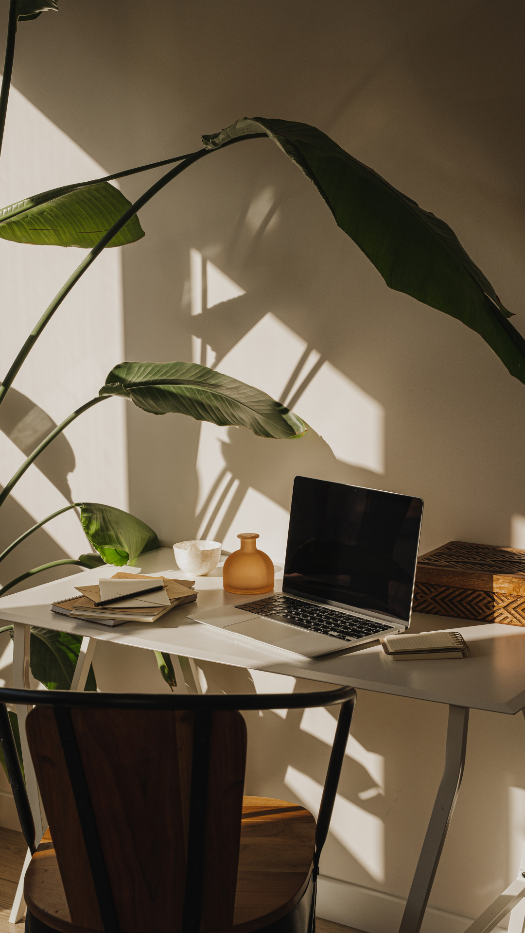 A workspace with a desk holding a laptop, notebooks, a pen, a small vase, and a decorative box, surrounded by large green leaves casting shadows on the wall.