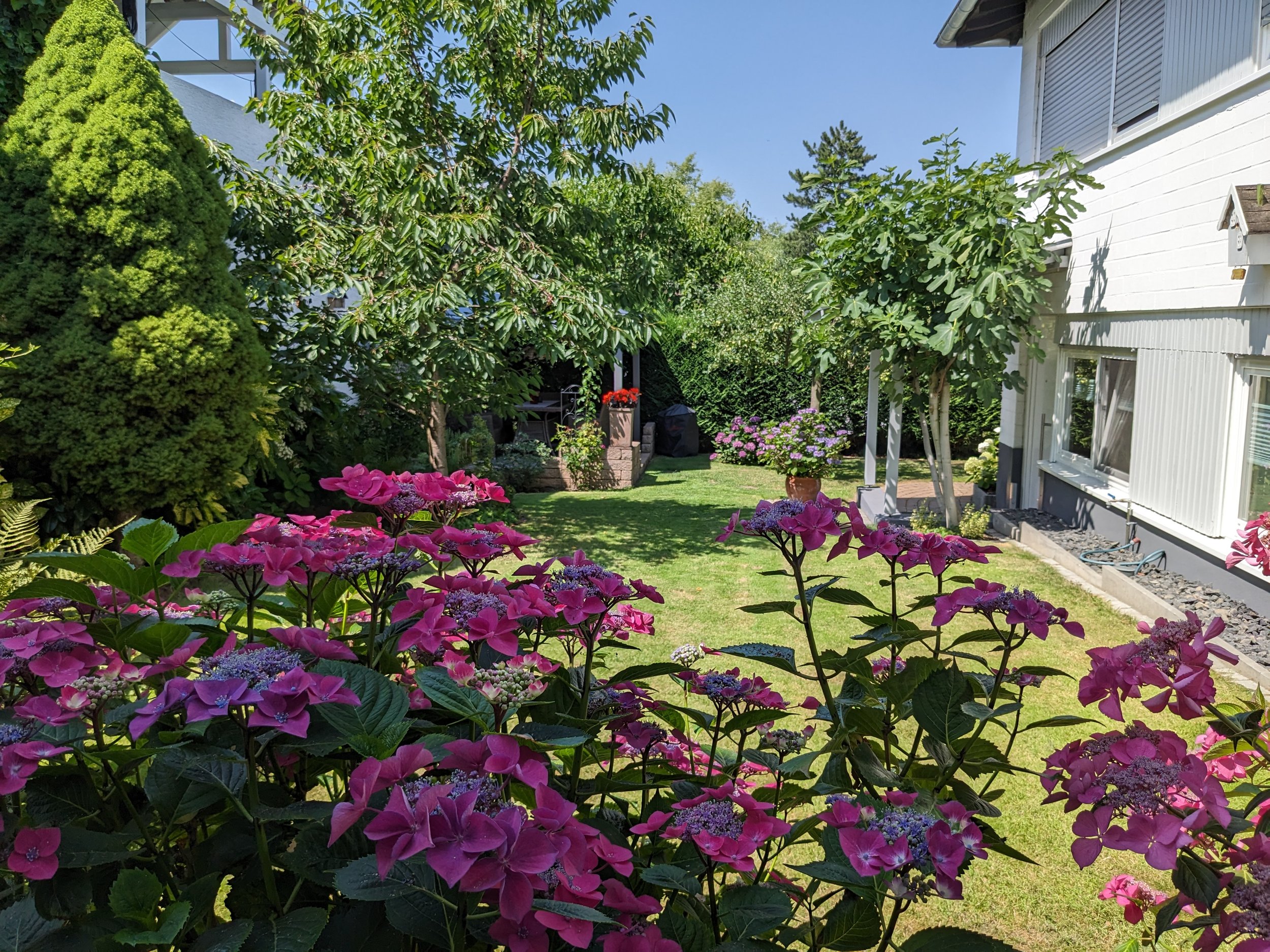 Der Garten ist grün mit bunten Blumen, Bäumen und Sträuchern. Es gibt einen Überblick über den Gartentyp mit Sitzbereich, der zur Wohnung gehört, und einem gepflegten Rasen. Der Himmel ist klar und blau.