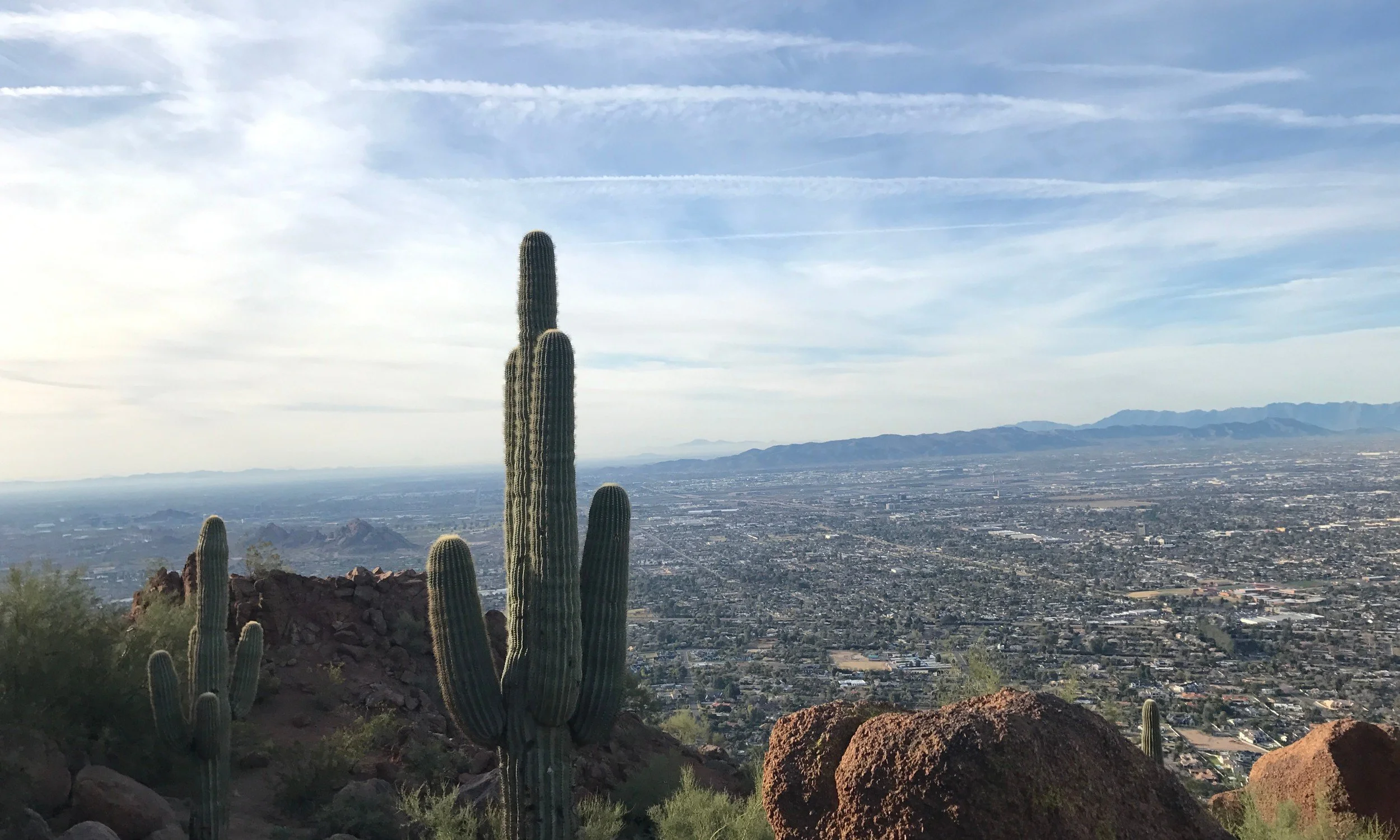 Phoenix