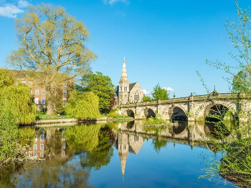Best Dog-Friendly Spots in Shrewsbury to Visit Before Your Boarding Stay