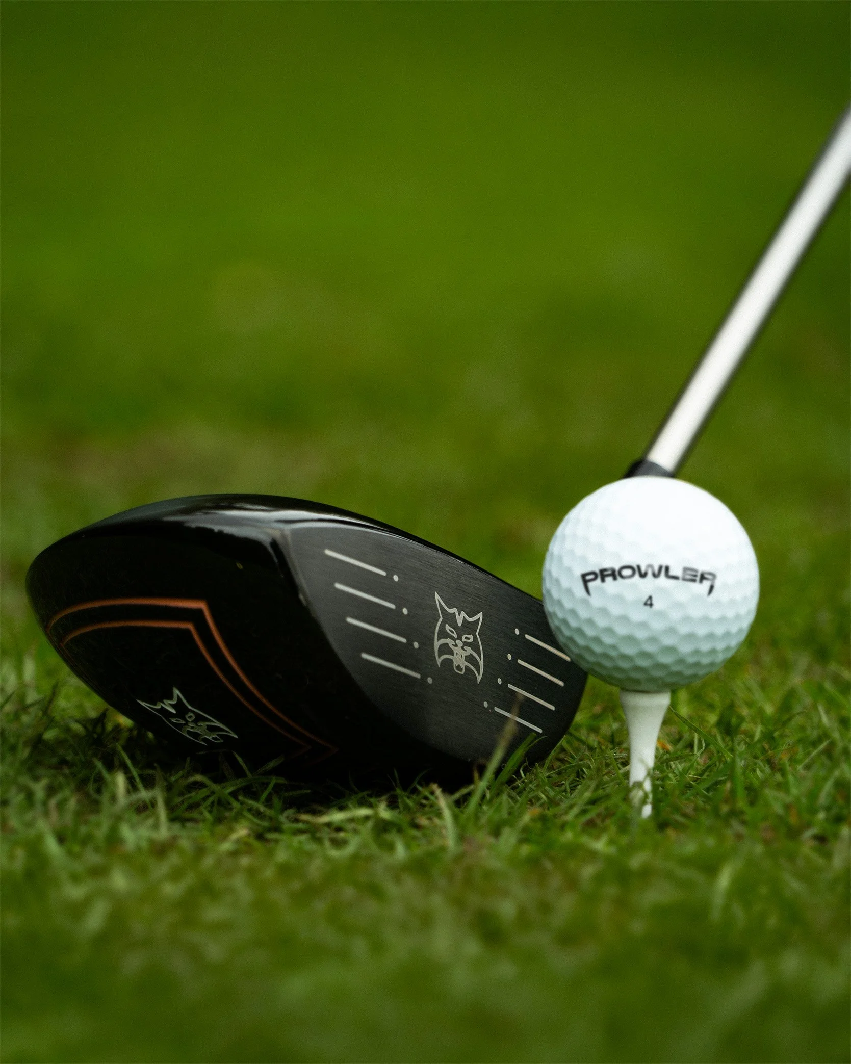 Mini Driver 1 low res.jpg