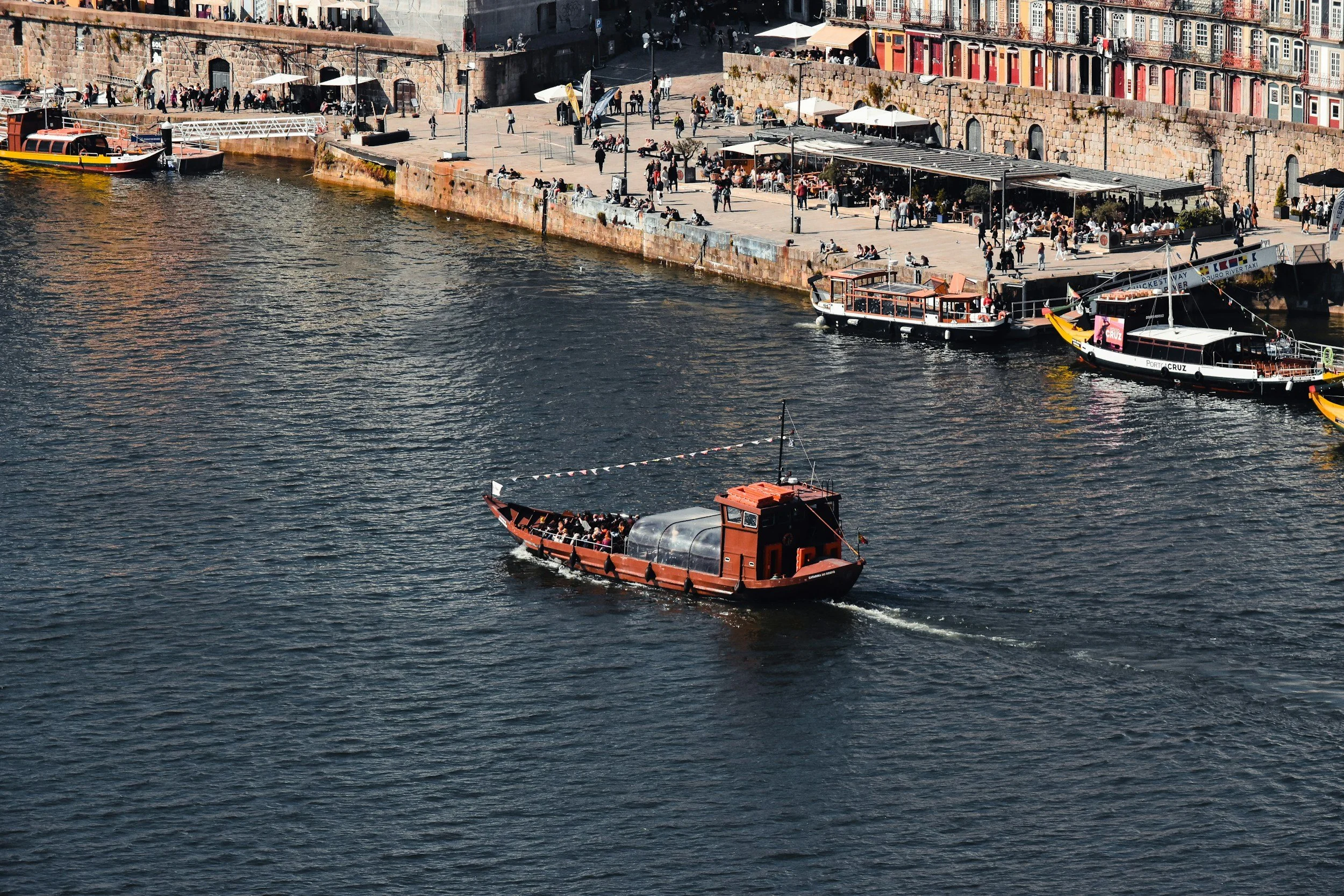unsplash-image-81lEJCSi3W8.jpg