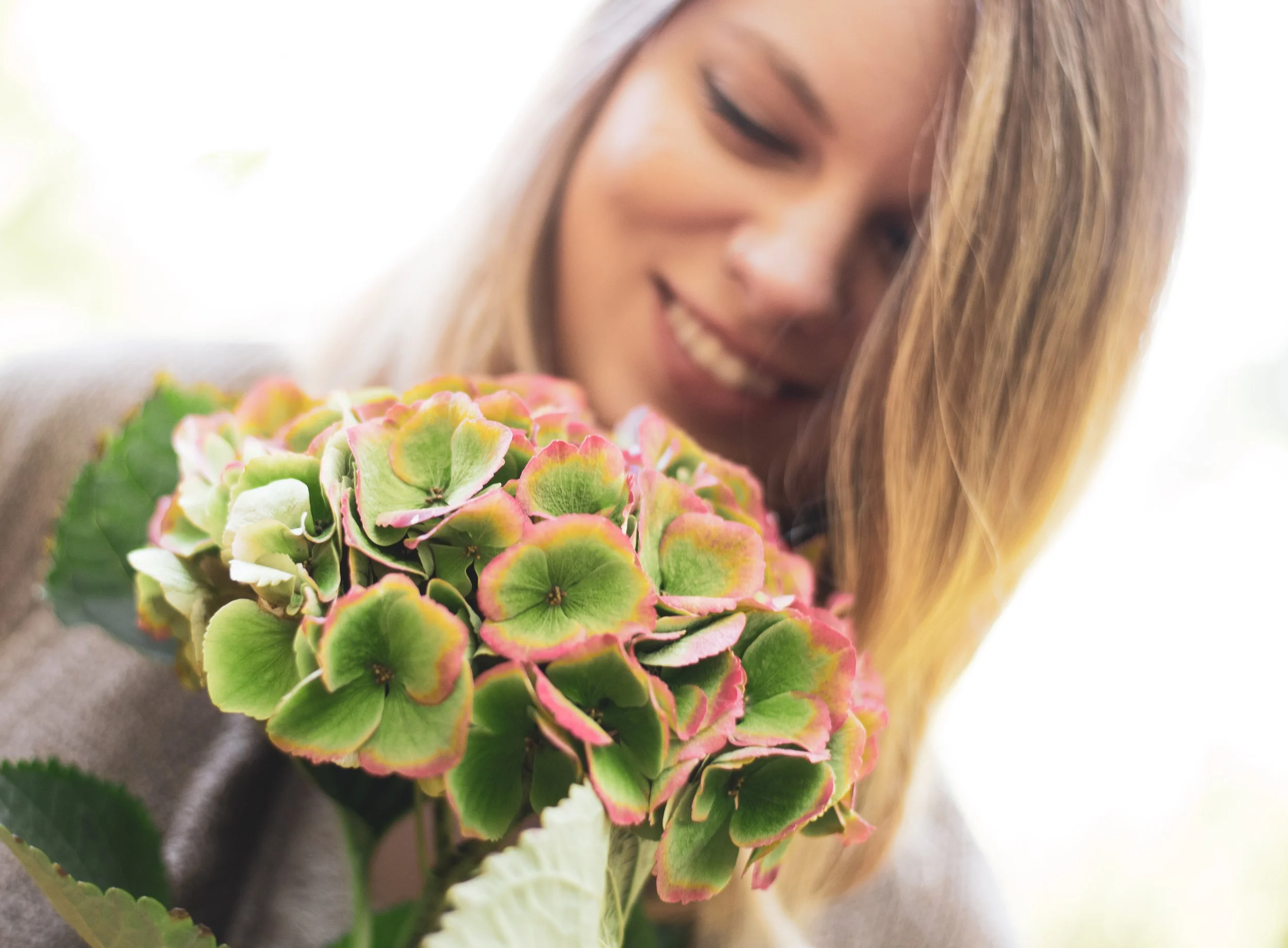 Nahaufnahme einer Frau mit langen braunen Haaren, die eine bunte Hortensie pflückt.