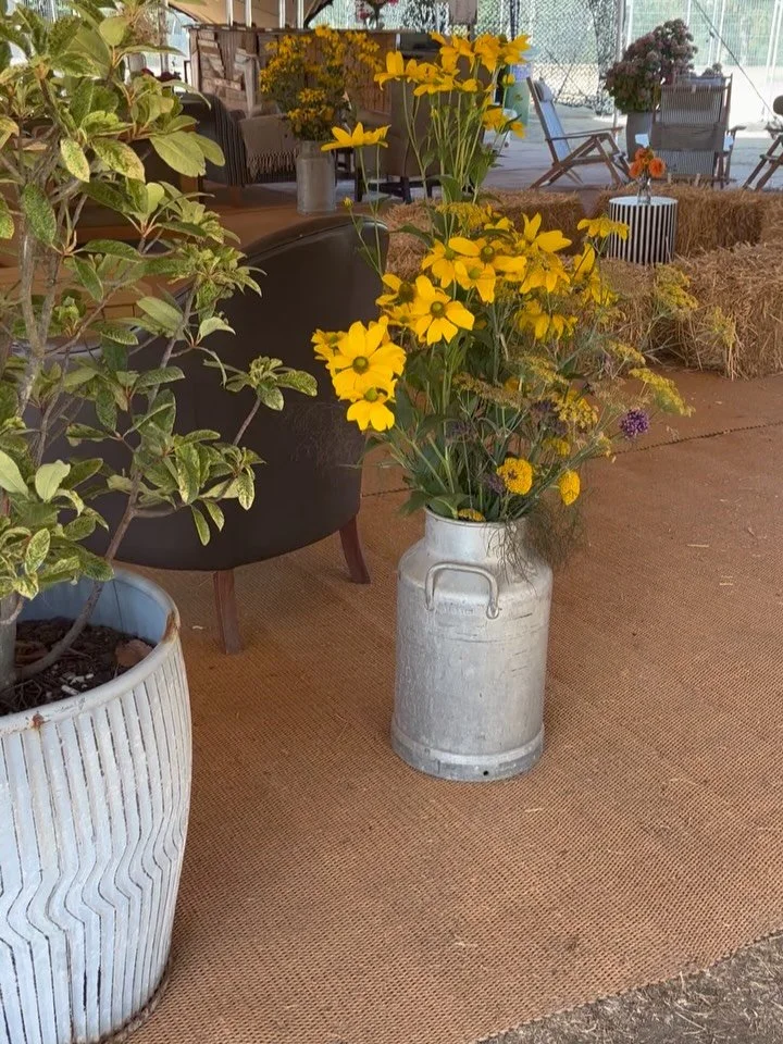 Just spent the morning dressing the VVIP Tewinbury area at The Great Fete hosted at Hatfield House this weekend. 
All flowers home grown at our flower farm and arranged on site. I loved the busy bee having breakfast on one of my arrangements! 

#hatf