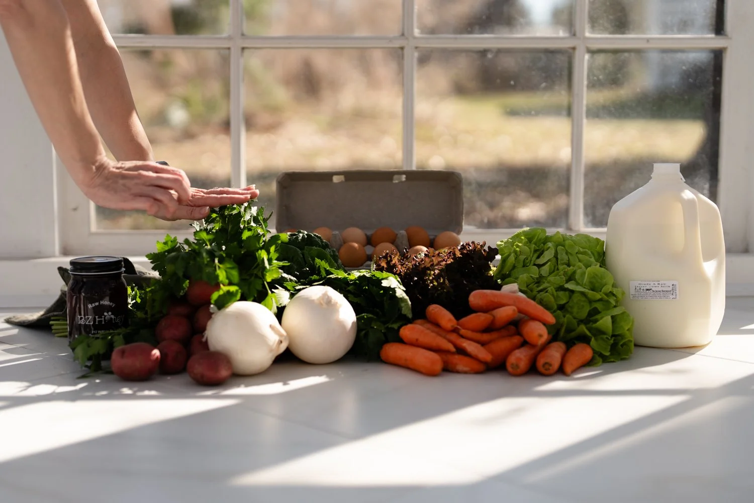 Nourished Market Branding Photos // Houston, TX