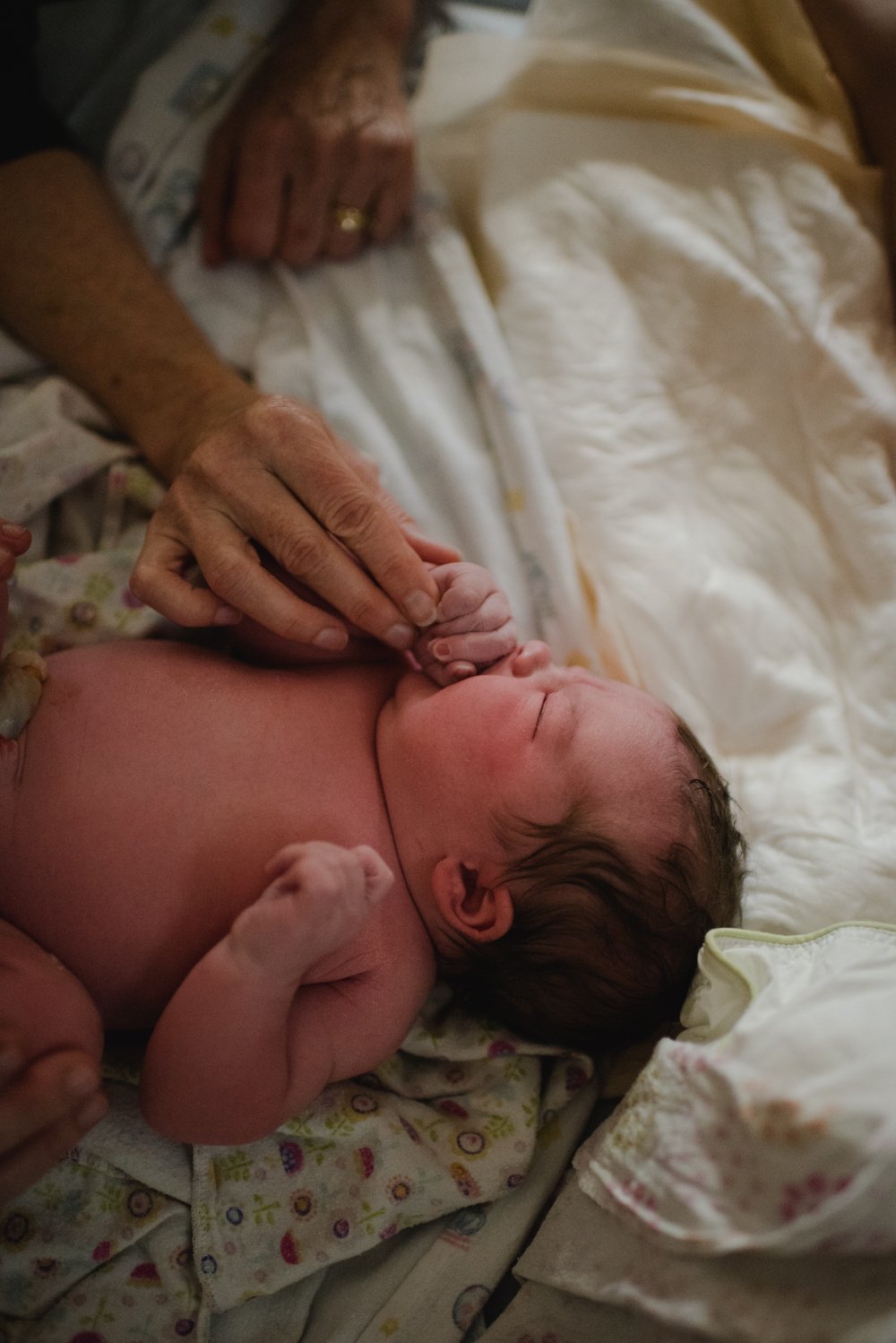 Baby Willamina Home Birth // Davis, CA