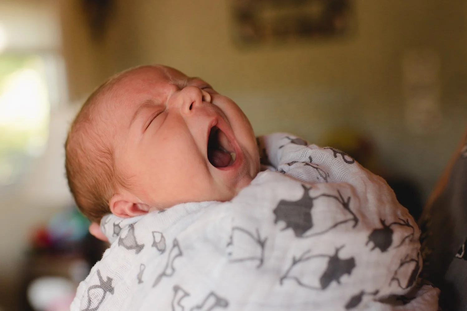 BabyEthan-44 copy.jpg