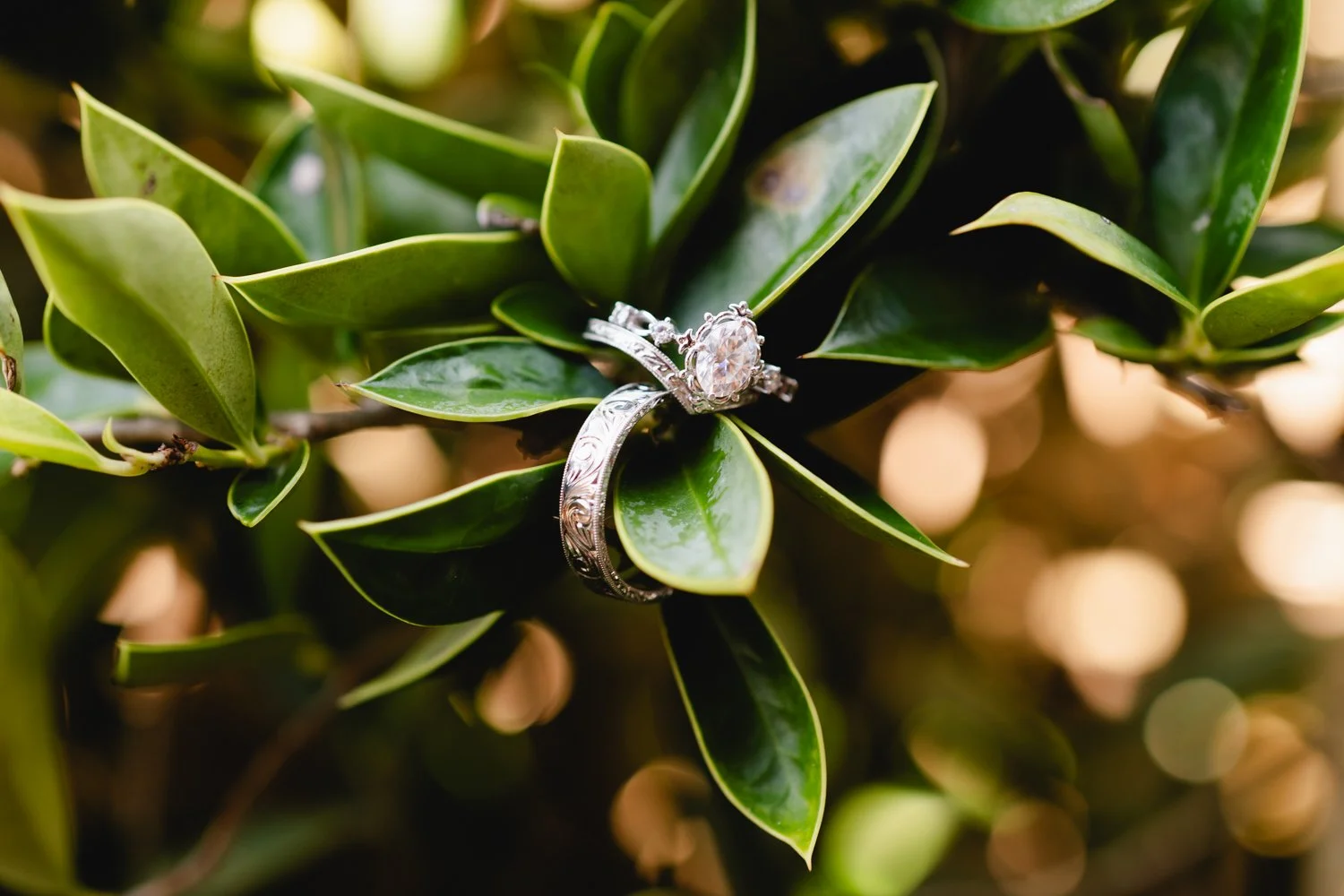 GuerreroEckermannWeddingWeb-4.jpg