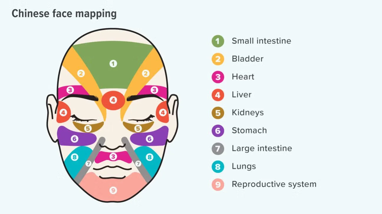 126979-face-mapping-1296x728-body-1296x728 (1).jpg