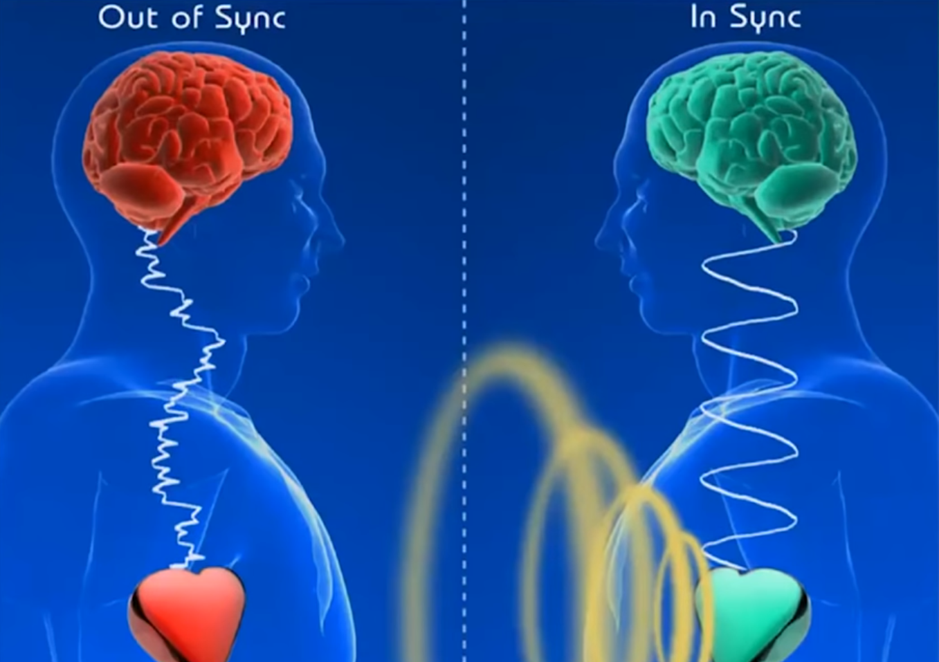 An infographic comparing brain activity during out-of-sync and in-sync communication, featuring stylized human profiles with brains, with the left side showing a red brain and a heart, and the right side showing a green brain and a heart, connected by wavy lines.
