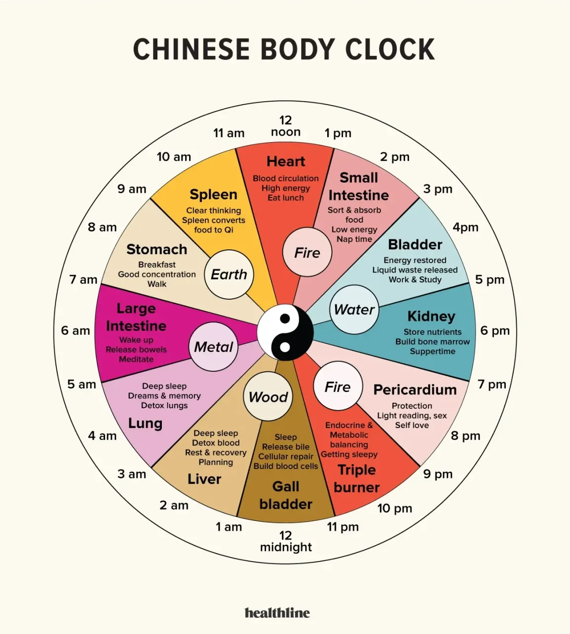 Diagram of a Chinese Body Clock with colored sections representing different body parts and their associated activities and health tips through the 24-hour cycle.