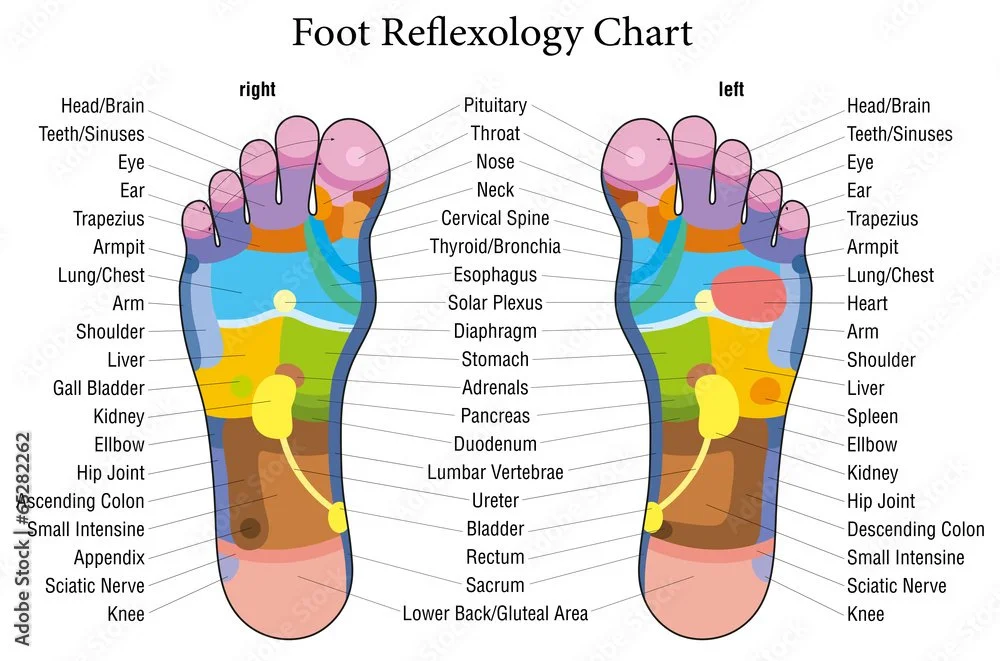 Foot reflexology chart showing left and right feet with color-coded zones corresponding to different body parts, including head, brain, teeth, sinuses, eyes, ears, trapezius, armpit, lung, chest, arm, shoulder, liver, gall bladder, kidney, elbow, hip