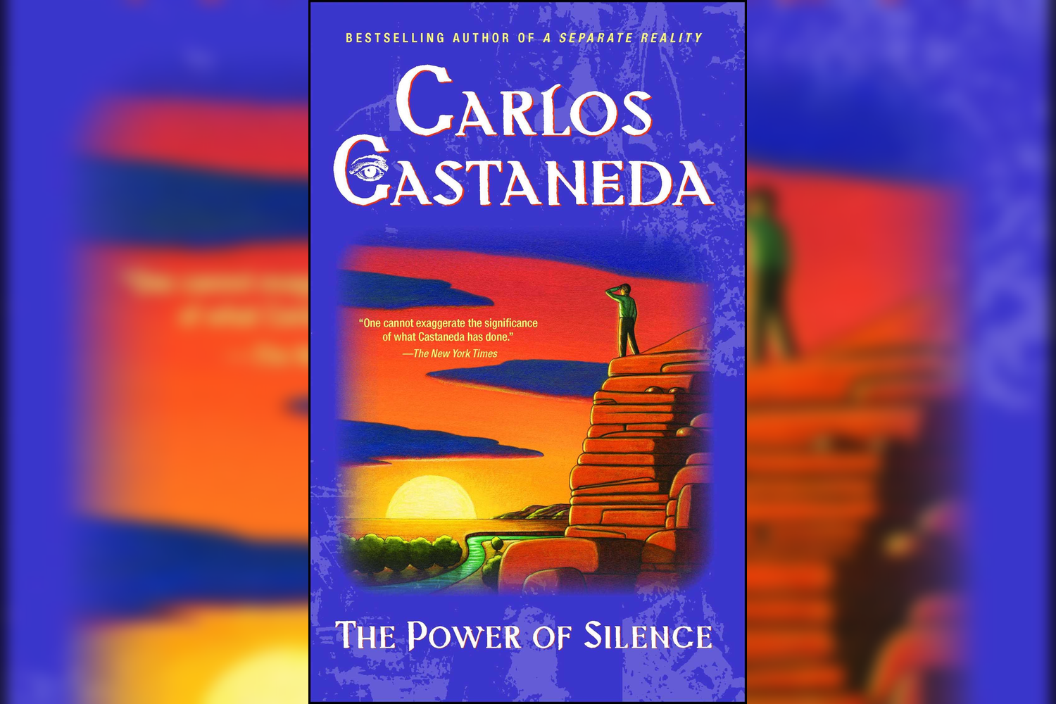 Book cover of 'The Power of Silence' by Carlos Castaneda featuring a colorful illustration of a sunset over a desert landscape with a person standing at the edge of a cliff.