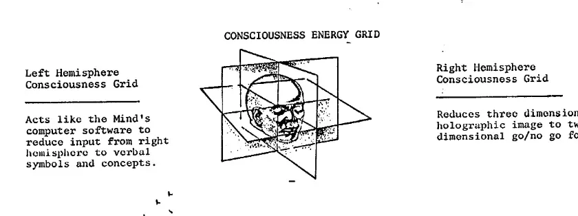 Diagram of consciousness energy grid showing left and right hemisphere consciousness grids, with a human skull in the center, illustrating holographic and three-dimensional aspects.