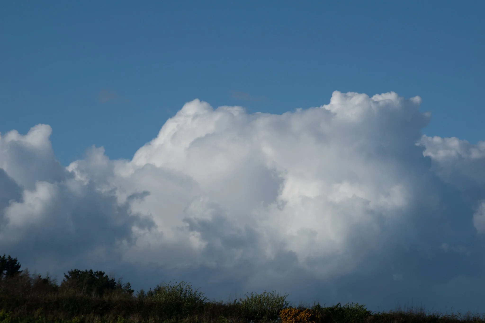 Cloudy sky over a landscape with trees and bushes.