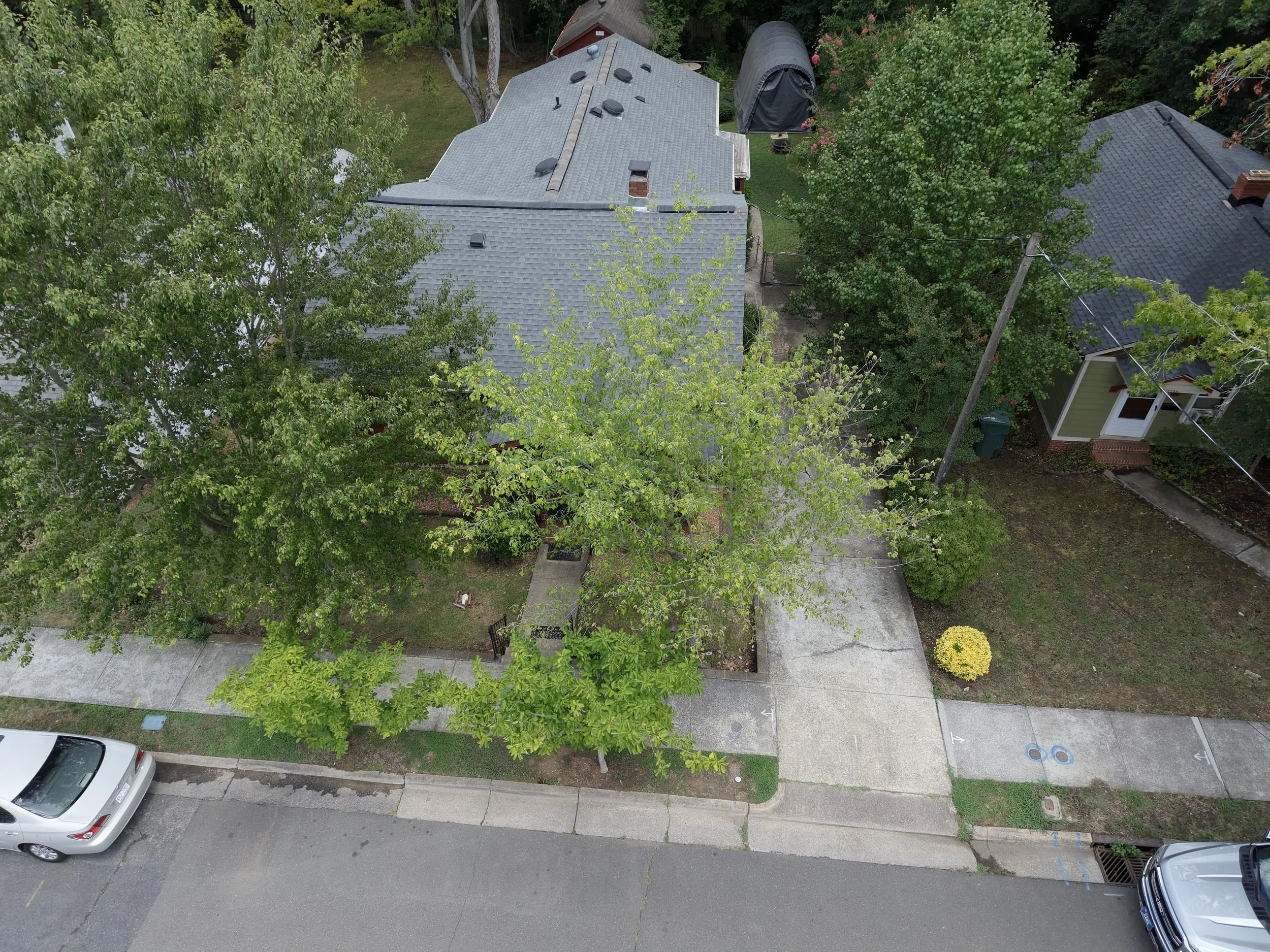dji_fly_20260707_135016_0001_1783448985523_photo.JPEG