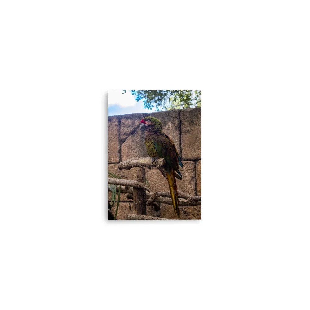 Perched