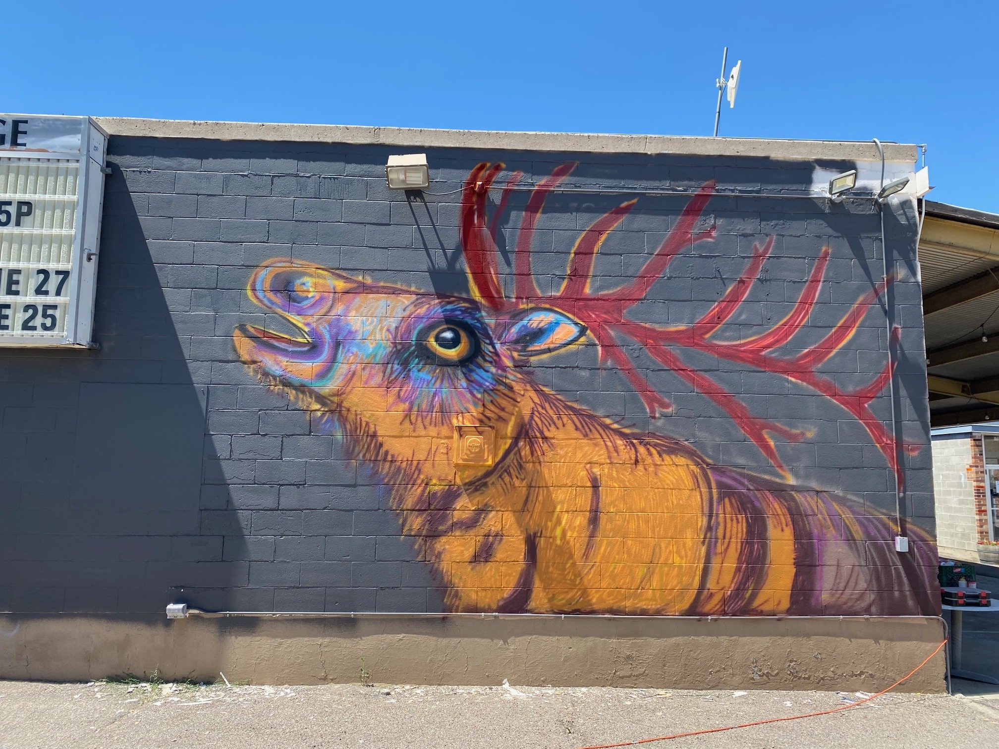 Colorful mural of a hummingbird on a gray brick wall, with red and orange accents and a blue sky in the background.