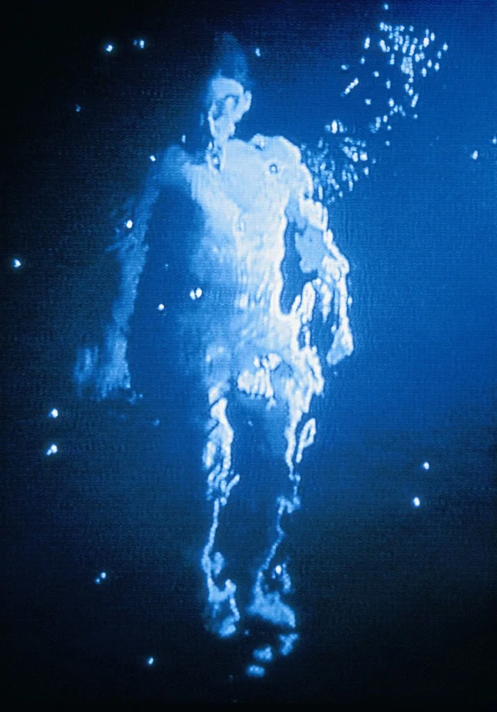 2004-Bill-Viola-Temporalidad-y-trascendencia-The-messenger-715x1024.jpg