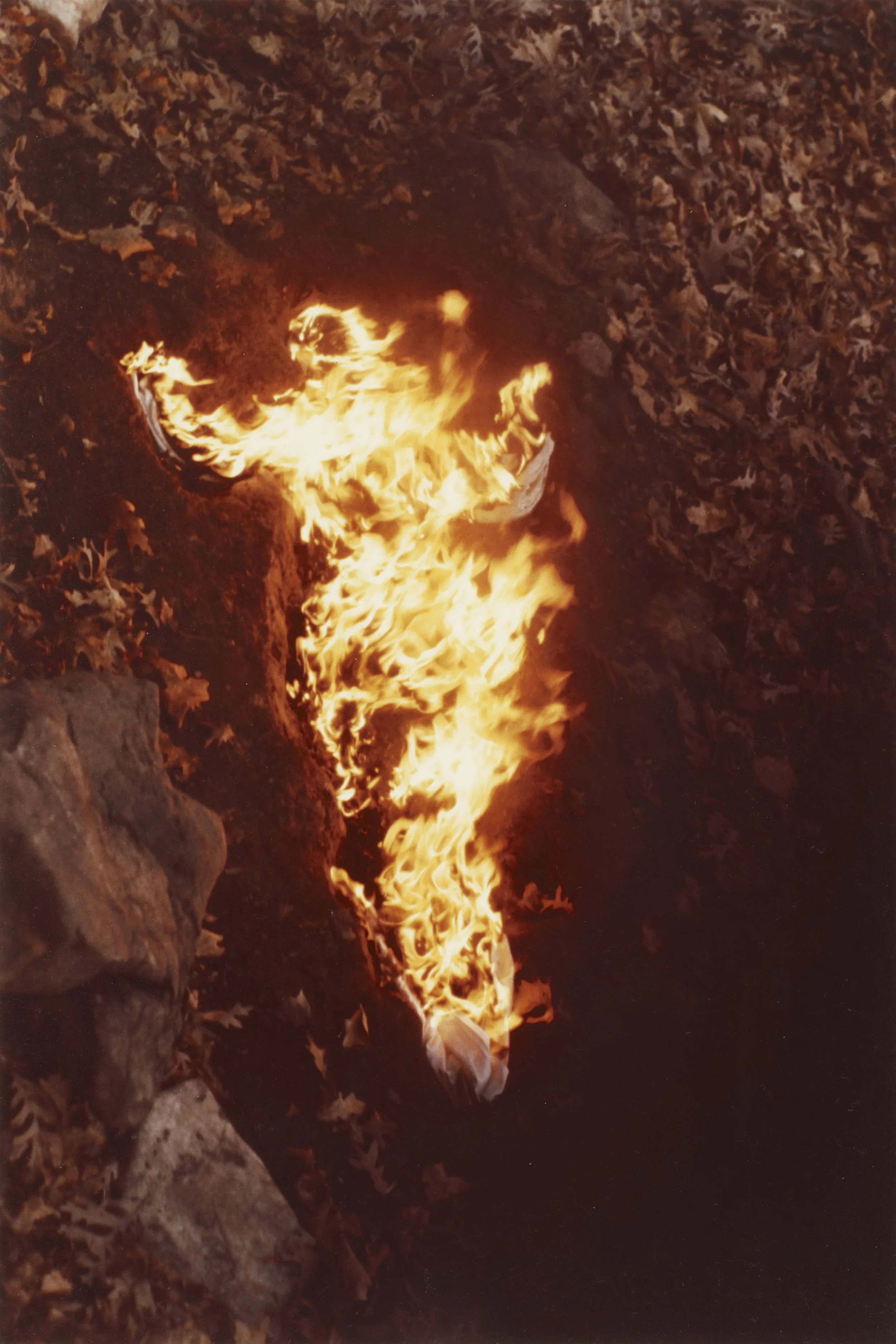GL+6865+-+Alma+Silueta+en+Fuego+A.webp