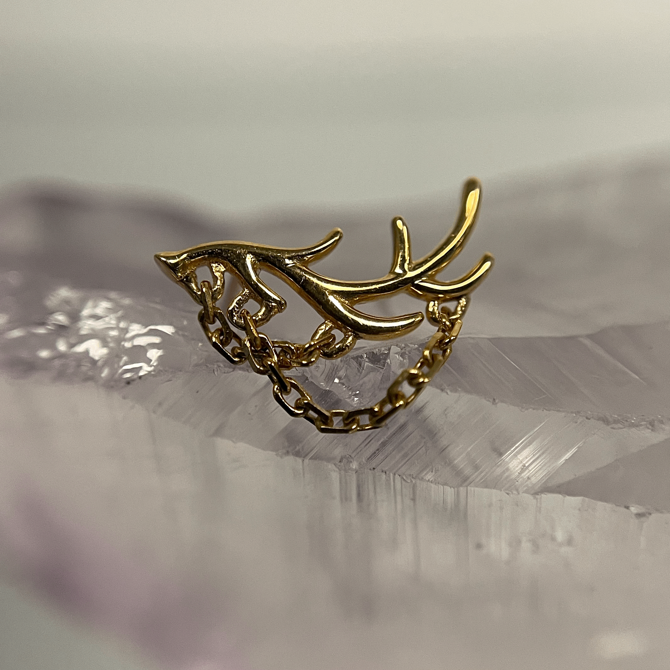Chained AntlerlKIjlL.gif
