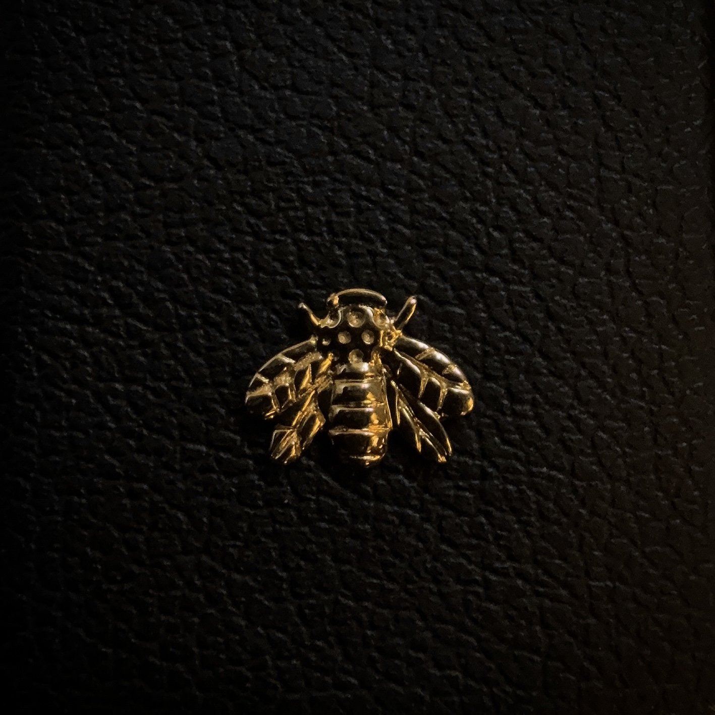 Bee.jpg
