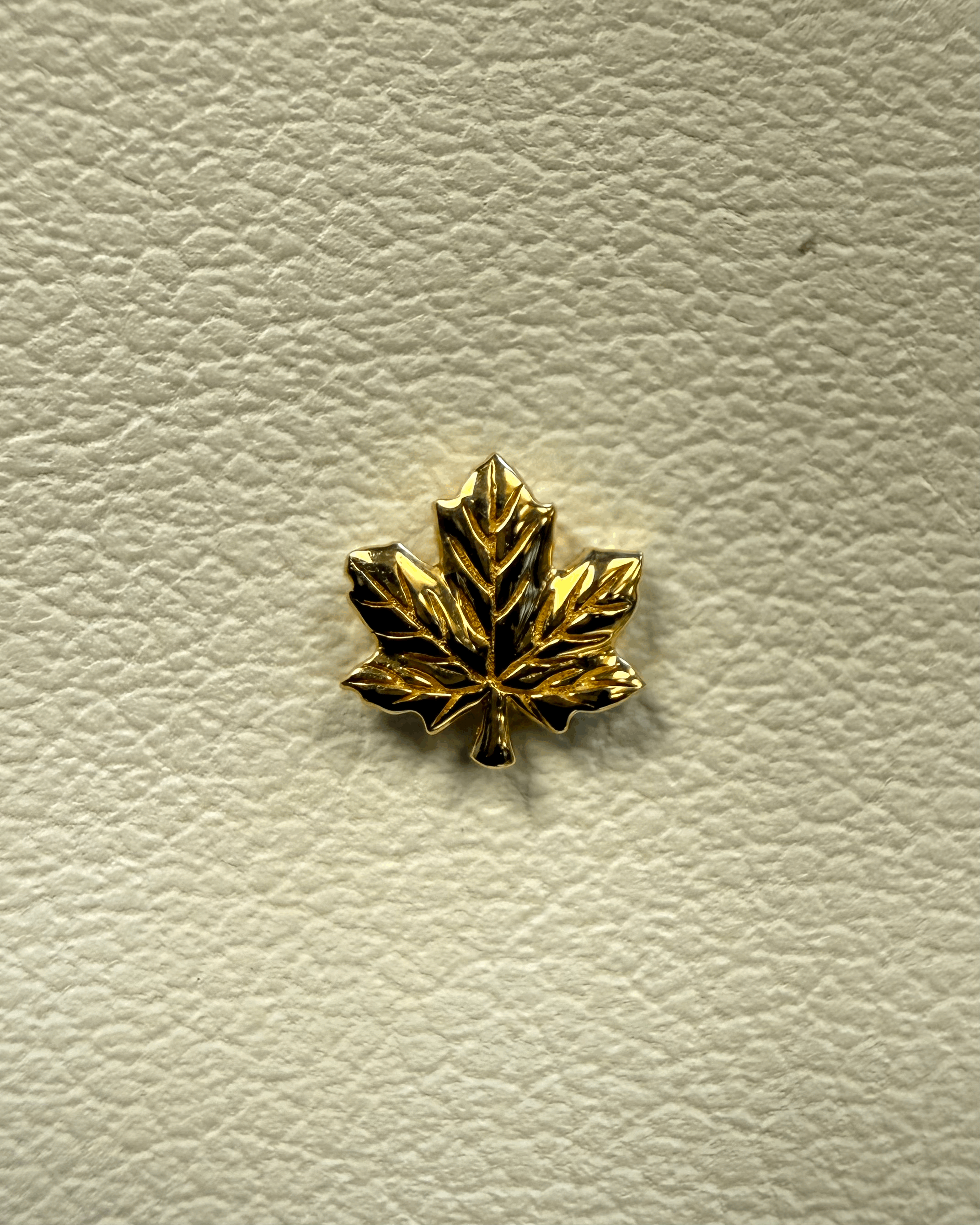 Maple Cg8Fiw.gif