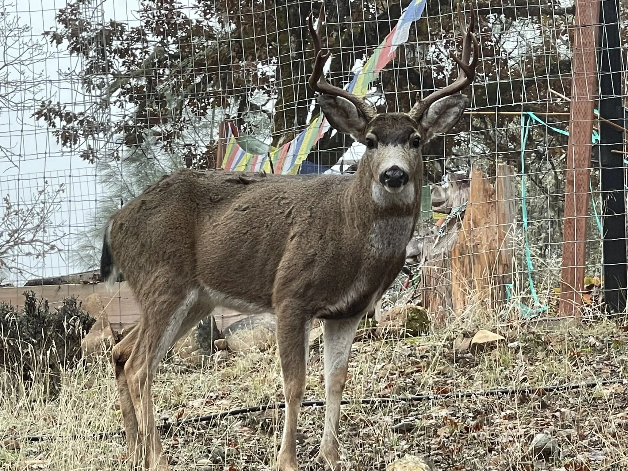 IMG_5030.JPEG