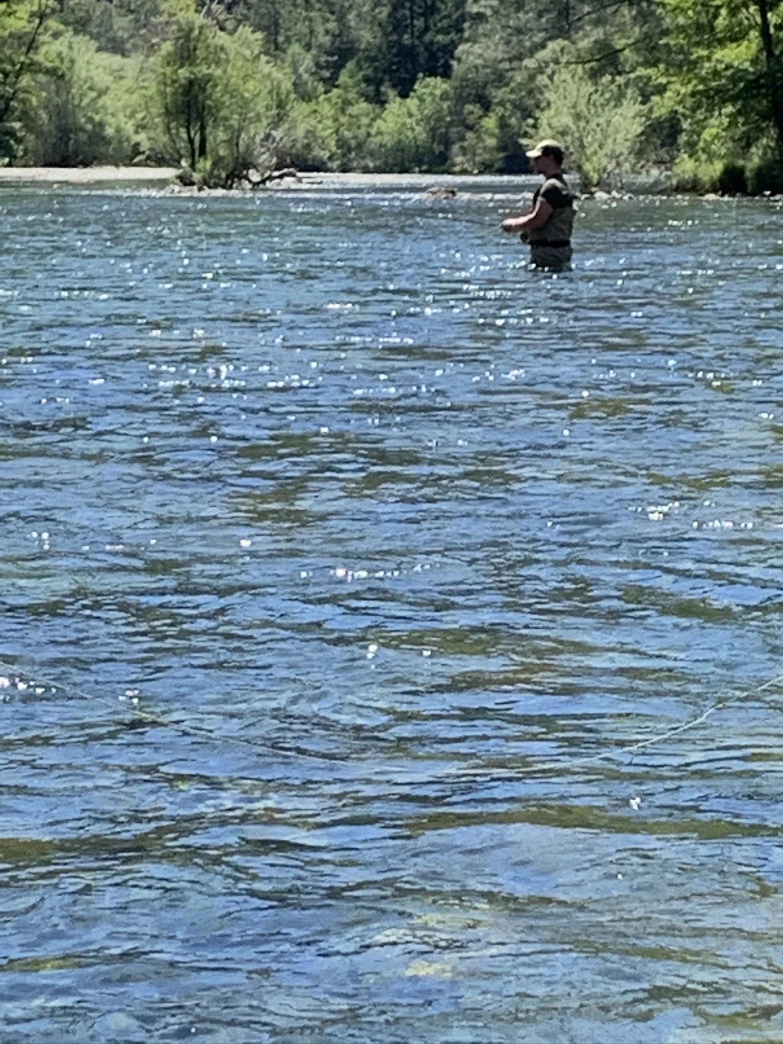 IMG_0185.JPEG
