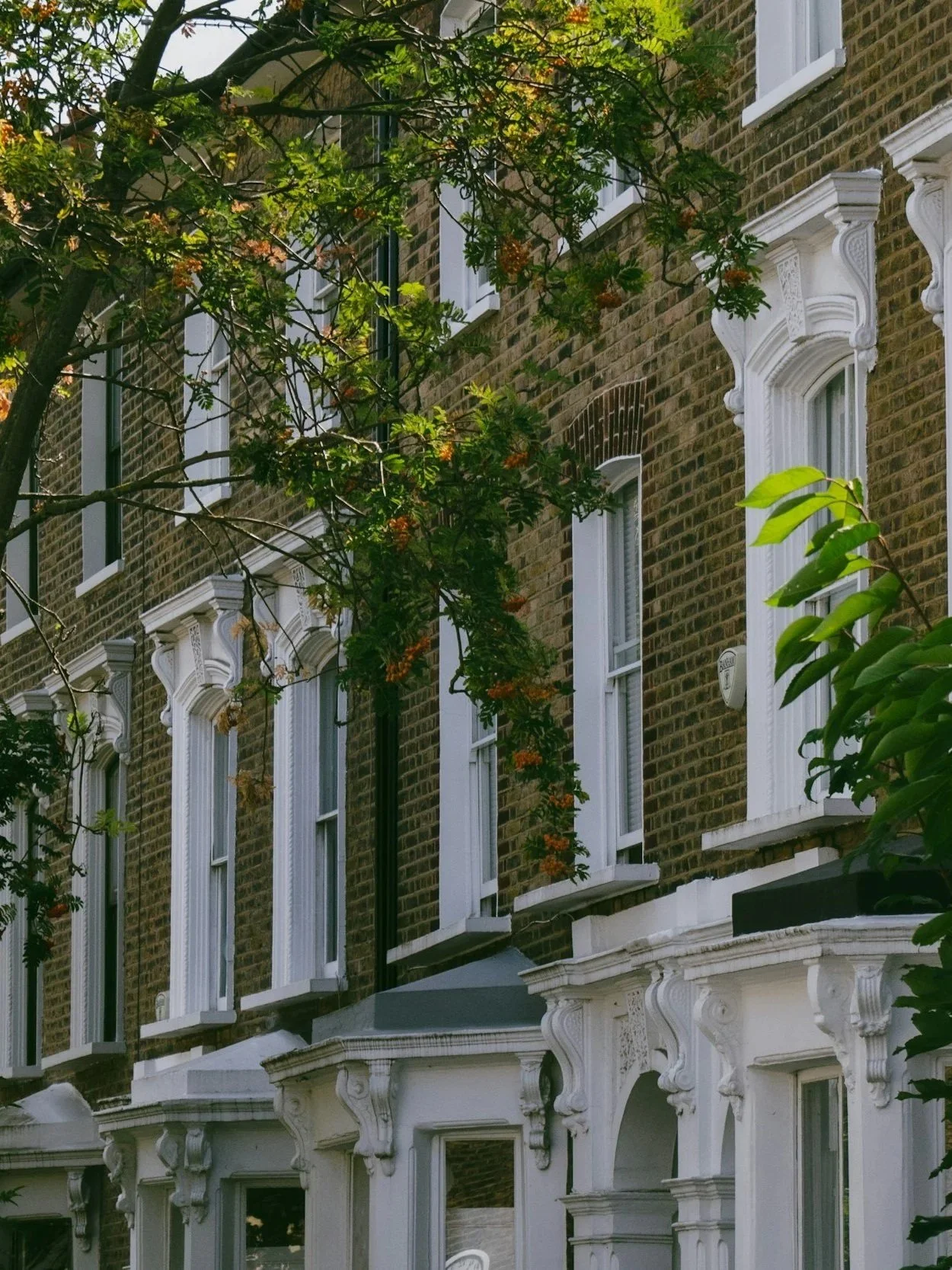 A multi-story brown brick building with white decorative window frames and ornate architectural details. Green tree branches partially obscure the building.