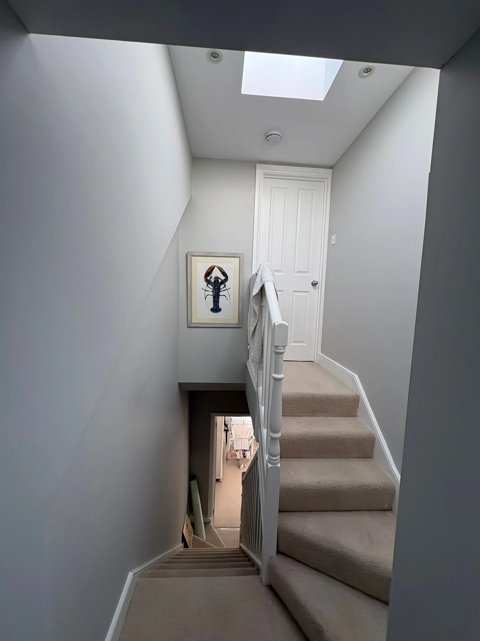 View of a staircase with beige carpeted steps, white railing, and a towel hanging over the railing. The staircase is at the top landing with a white door in the background, and a framed picture of a lobster decorates the wall. A skylight and ceiling 