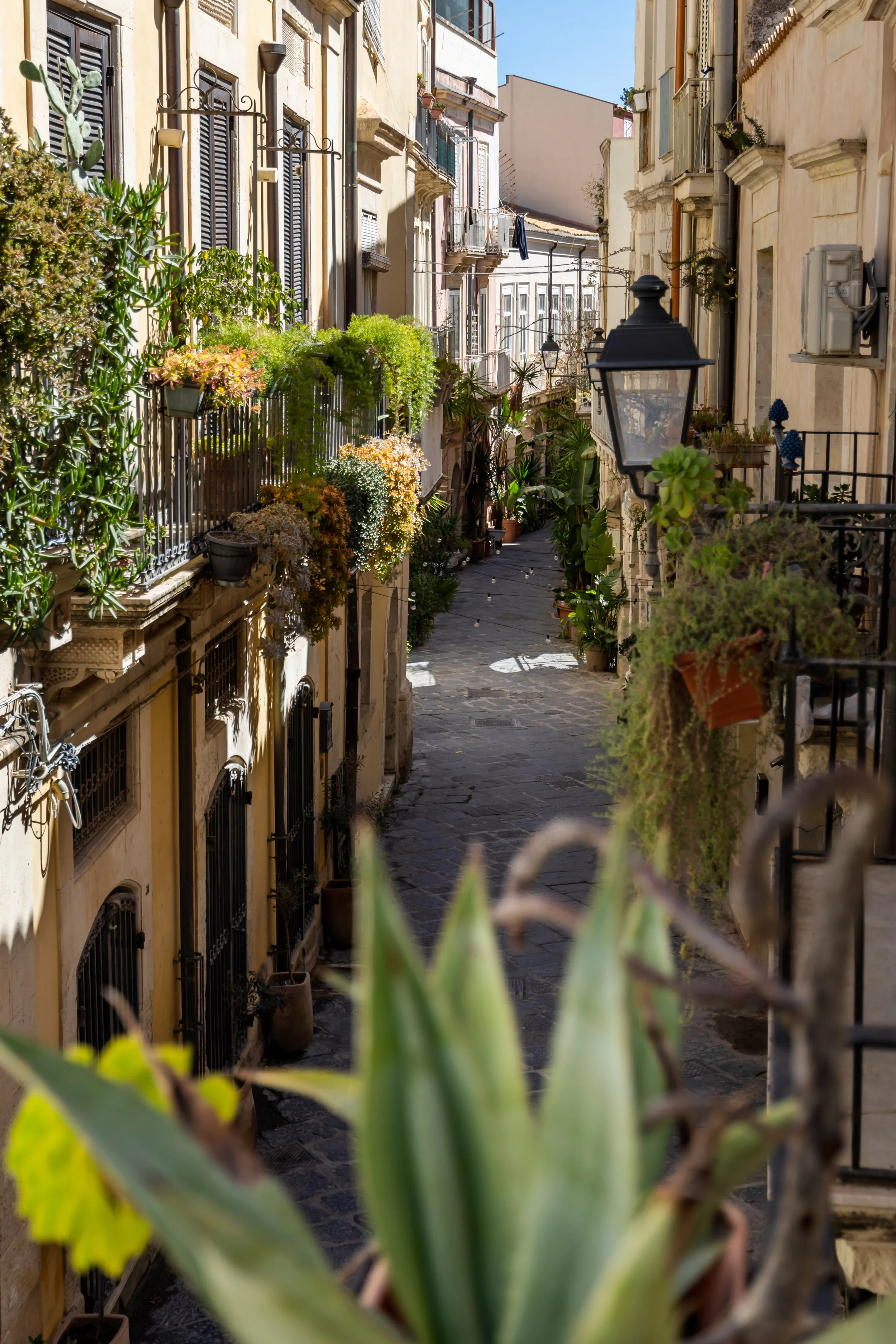 A narrow, cobblestone street lined with colorful, historic buildings adorned with potted plants and flowers, with a vintage street lamp on the right side and sunlight illuminating the scene.