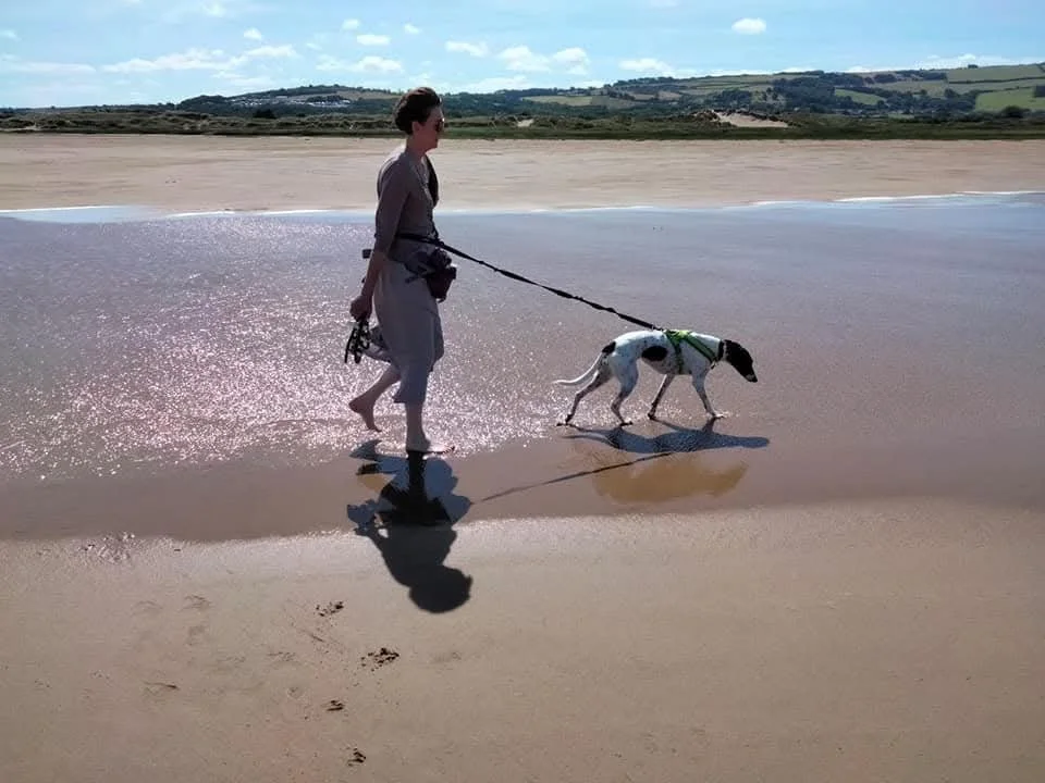 Embarrassed by Your Dog in Public? Why Shame Makes Behaviour Harder (and How to Stay Steady)