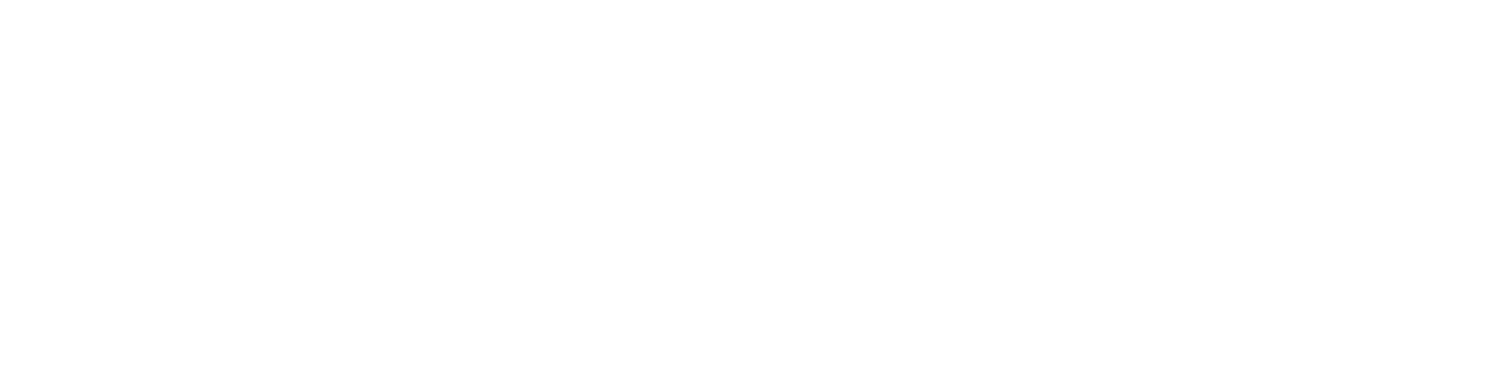Longview Construction Services