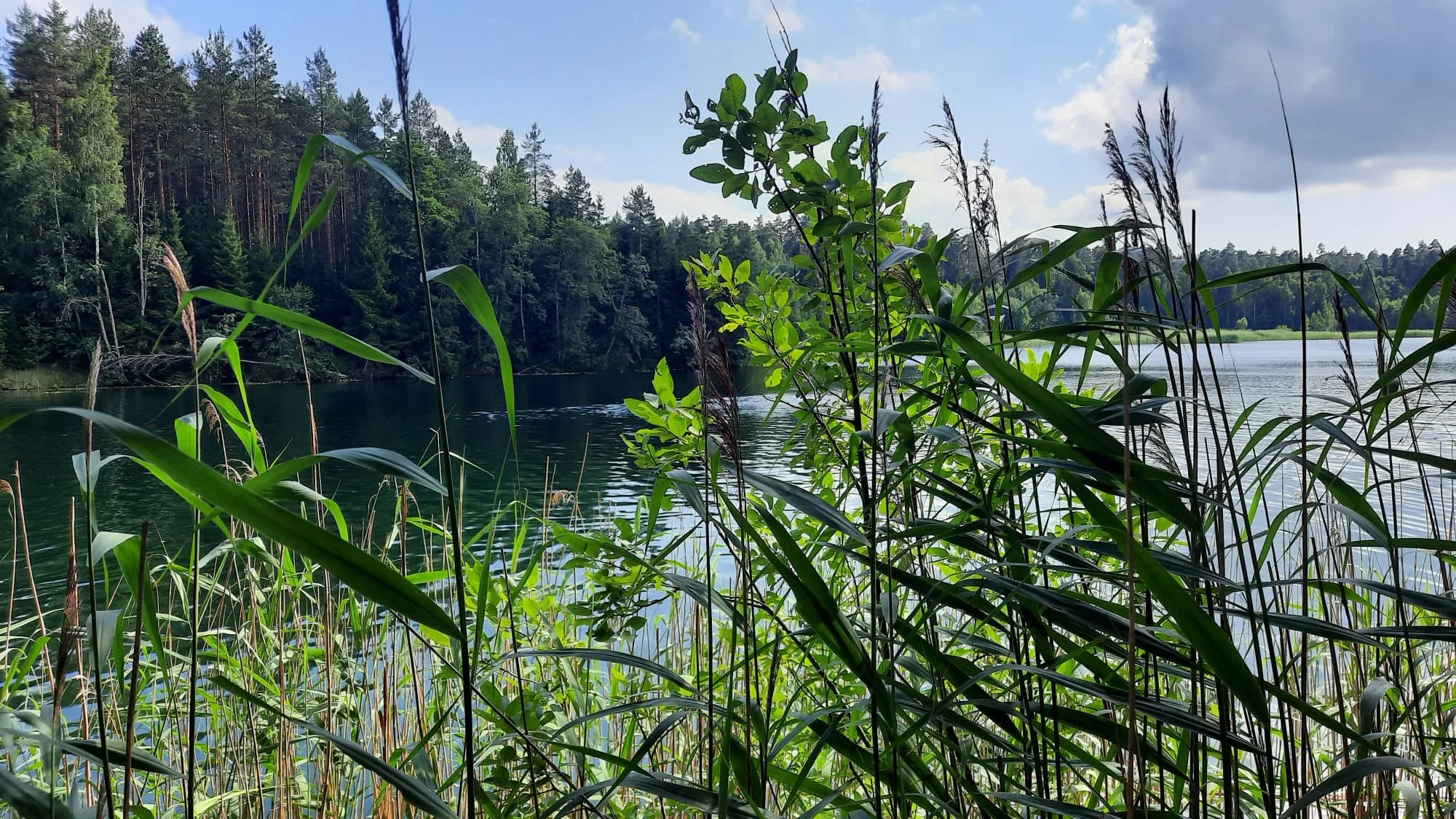 Notes from a Still Lake