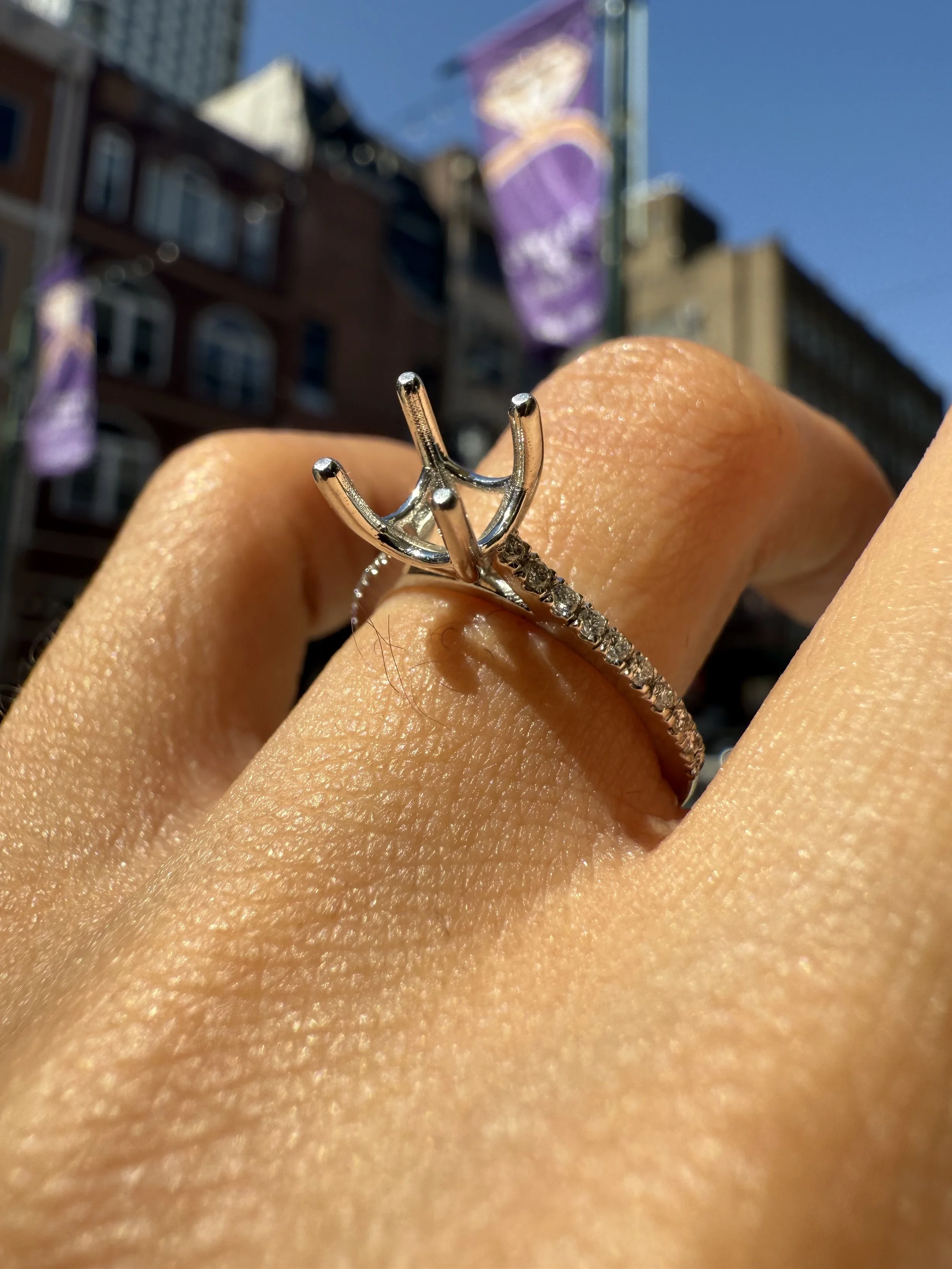 Cathedral Engagement Ring - Platinum
