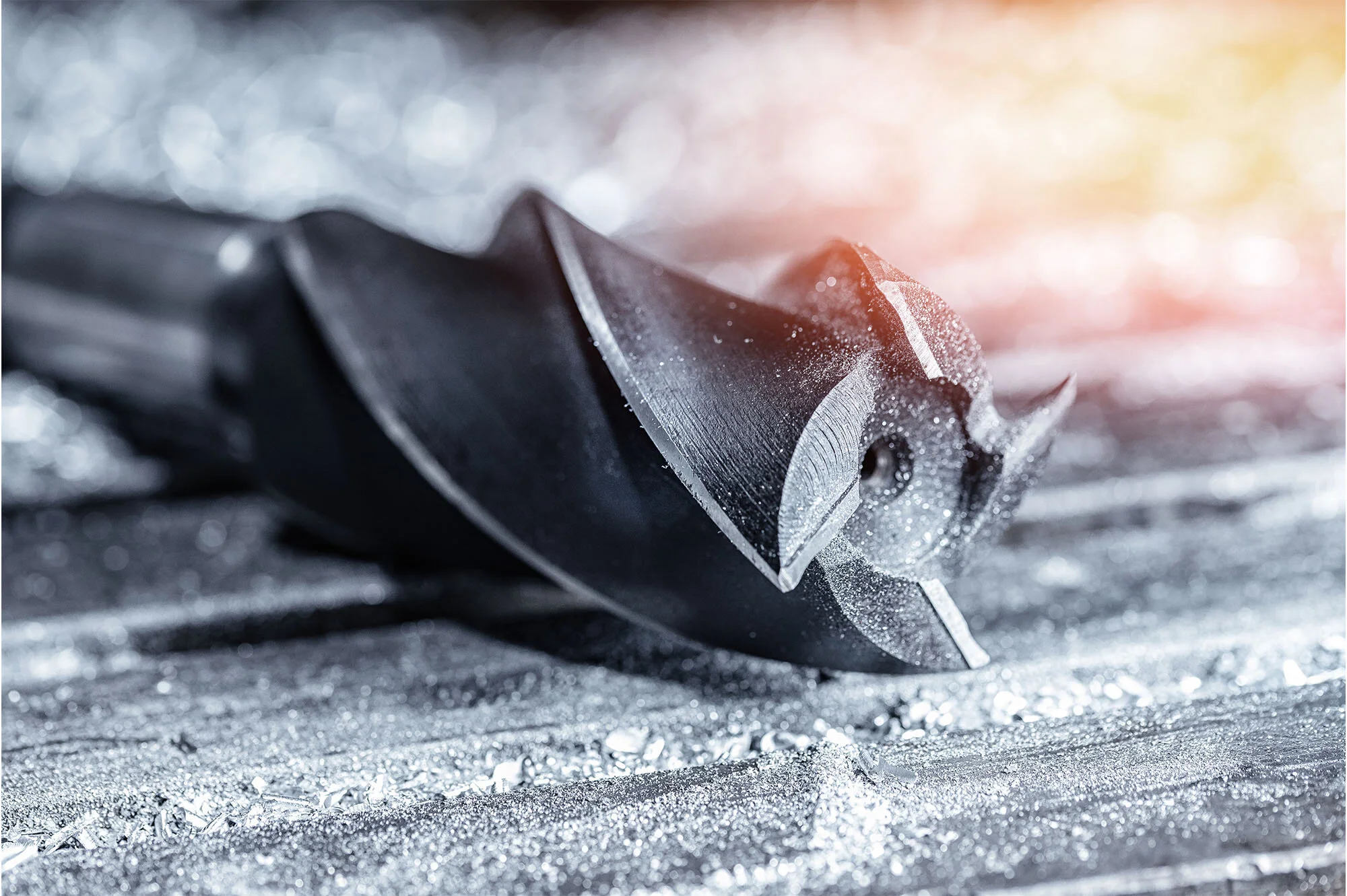 sm__0001_AdobeStock_417936304.jpg