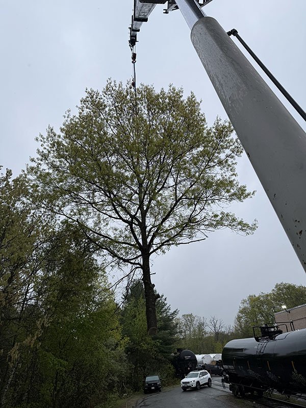 Crane & Rigging 1.jpg