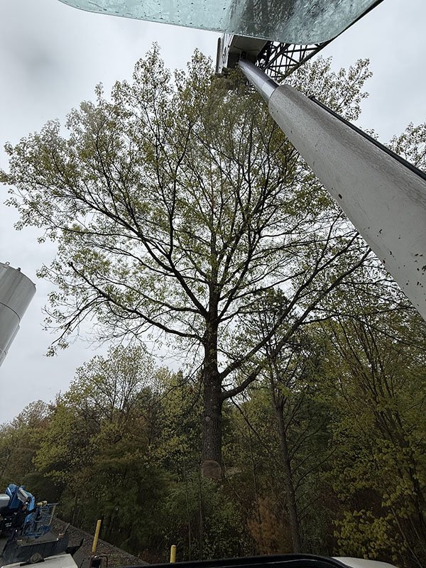 Crane & Rigging 2.jpg