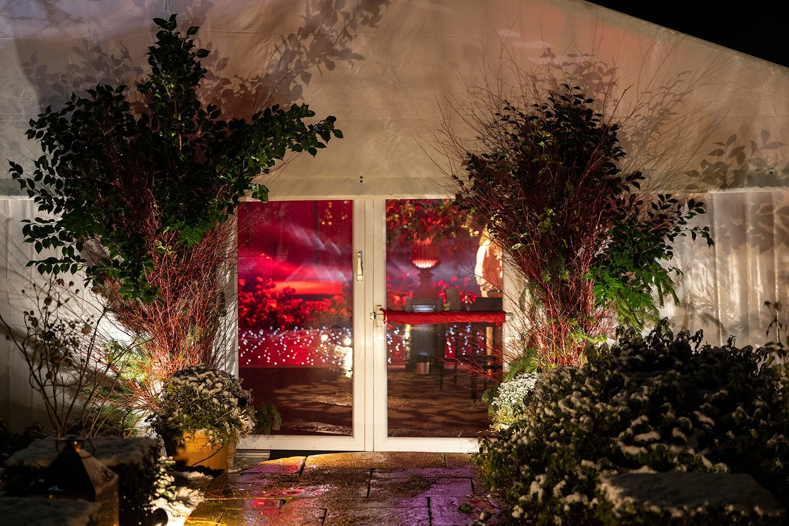 Snow-dusted potted plants and bushes in front of a glass door at night, with a warmly lit party or celebration visible inside, including red lighting, decorative lights, and a person near the door.