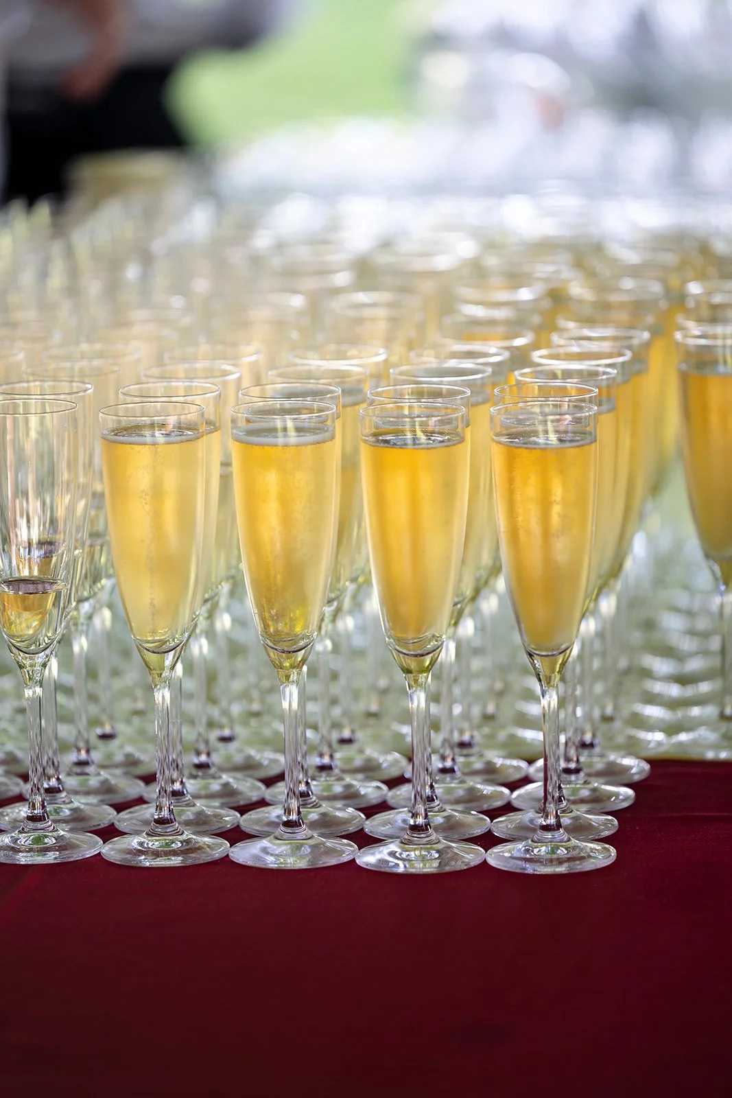 Multiple glasses of sparkling wine or champagne arranged on a table, with a blurred outdoor background.