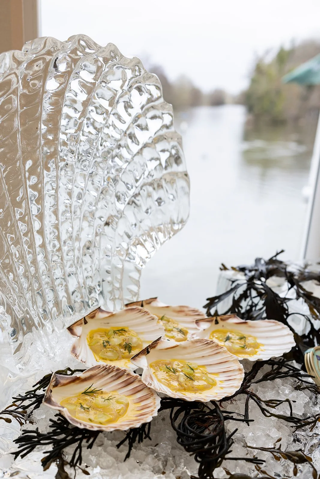 Seafood on ice, featuring scallop shells with a yellow sauce, garnished with herbs, displayed on black branches with a decorative glass backdrop and a window view of a river or lake.
