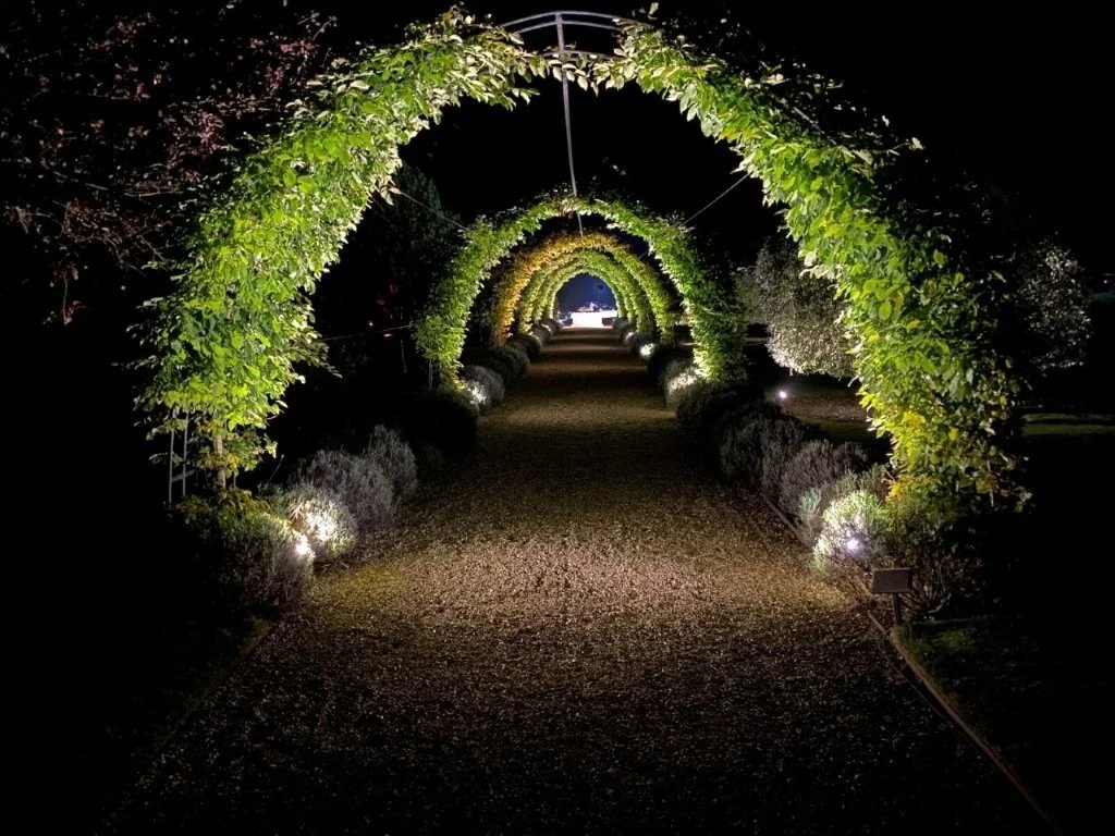 Night view of a pathway through illuminated green arches in a garden.