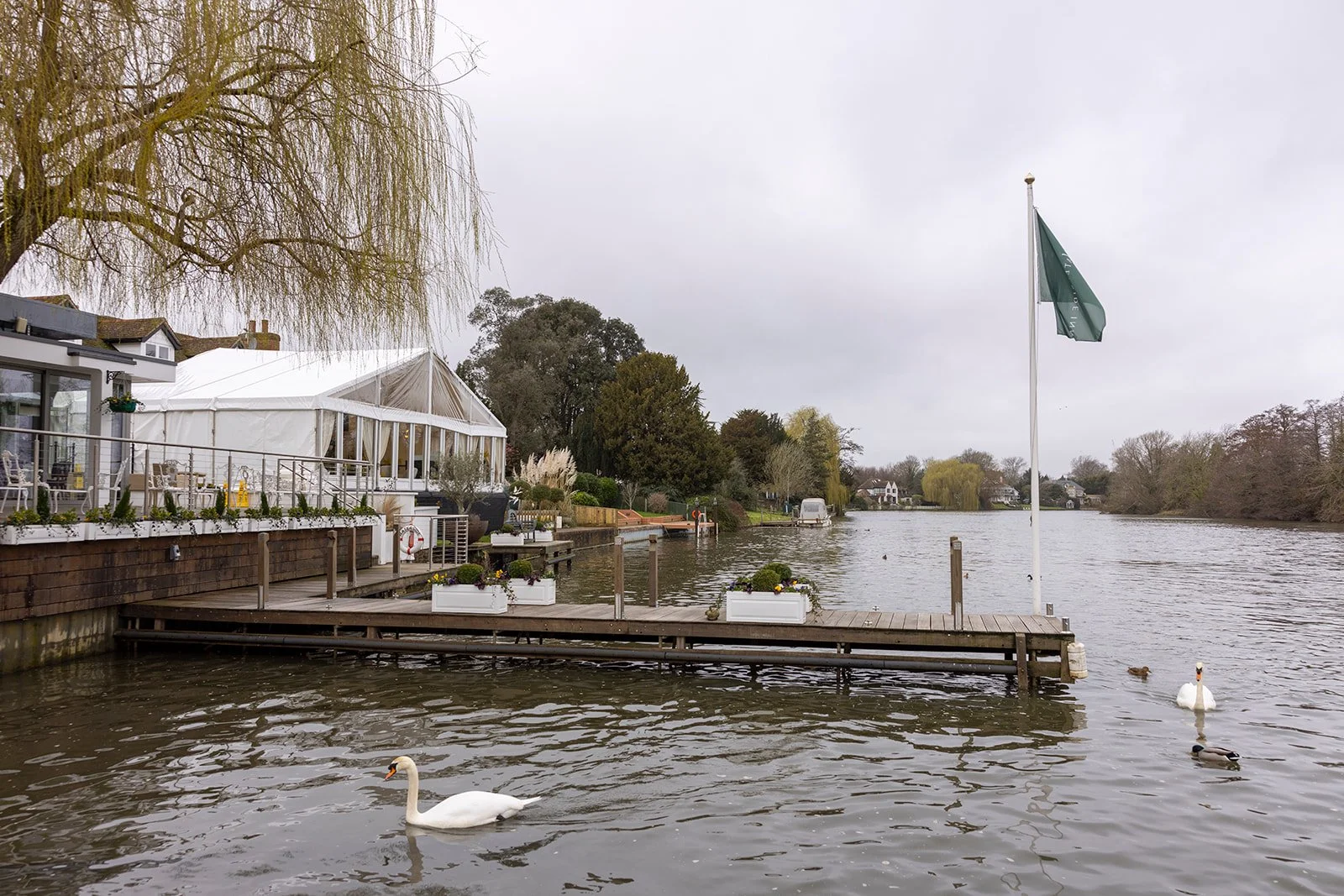 A lakeside scene with a wooden dock, two swans swimming, a large white tent, and trees with overcast cloudy sky.