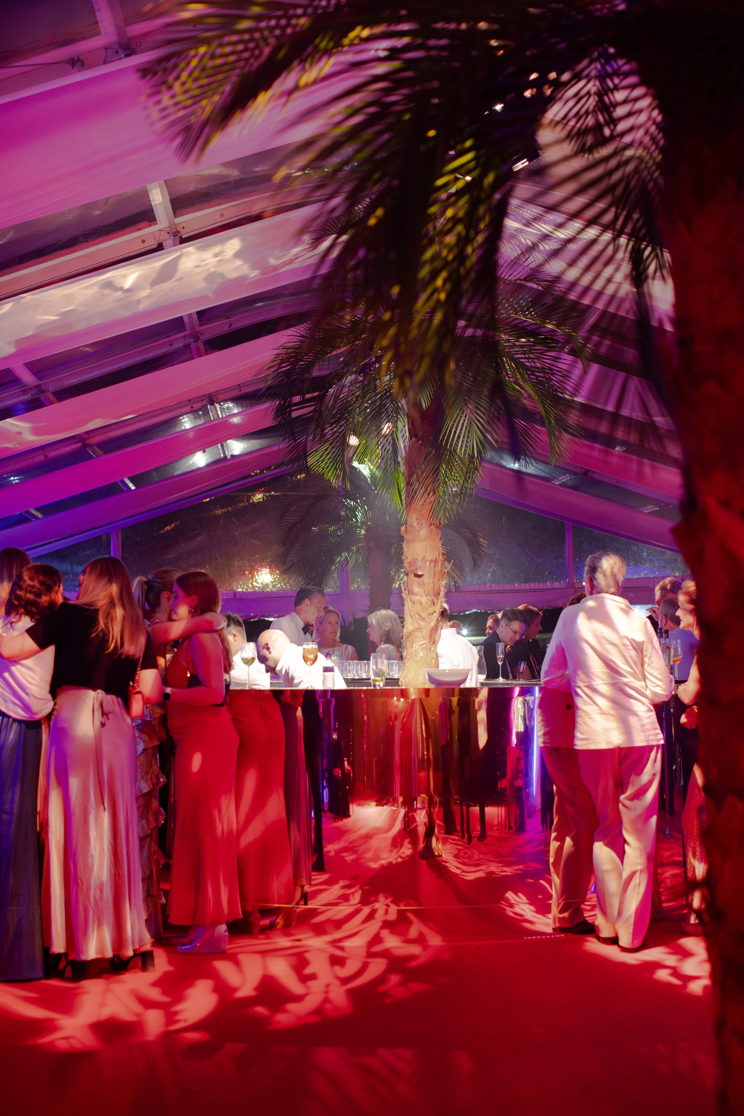 A group of people dressed in elegant formal attire, socializing and mingling at a party or event inside a venue with purple and pink lighting, a palm tree, and a reflective red floor.