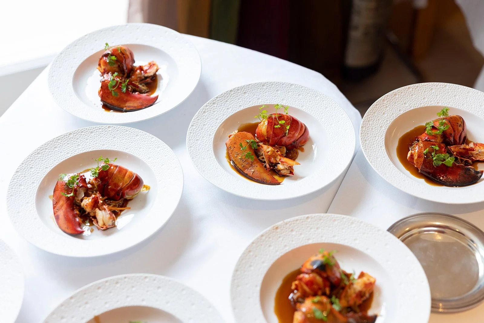 Multiple white plates with lobster dishes garnished with herbs on a white table.