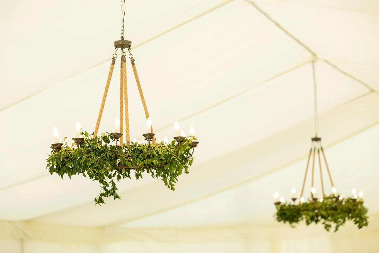 Two elegant chandeliers decorated with greenery and hanging from the ceiling.