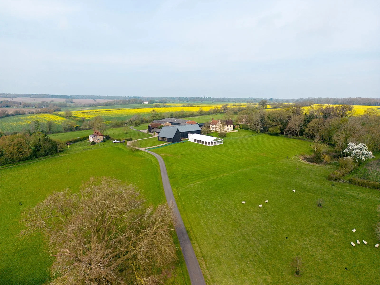 Aerial view of a rural landscape with green fields, scattered houses, a winding road, and a distant yellow flowered field under a partly cloudy sky.