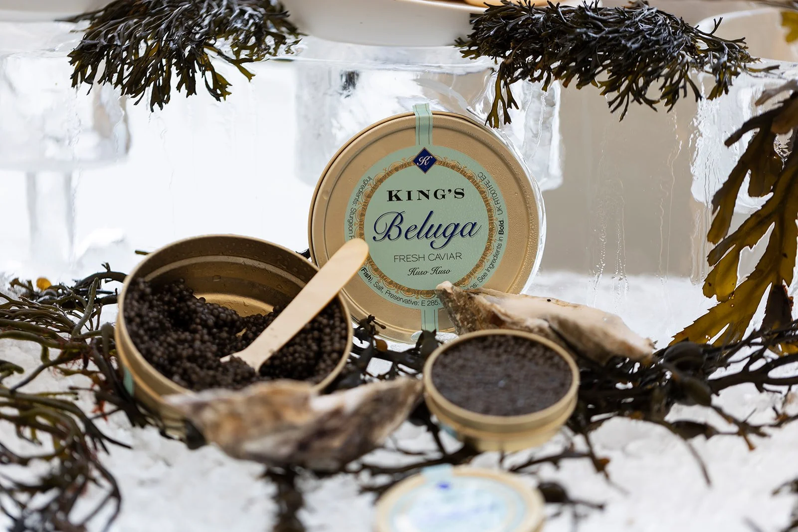 A container of King's Beluga fresh caviar with a wooden spreader, surrounded by seaweed and two oyster shells with black caviar inside.